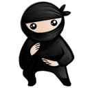 System Ninja Logo