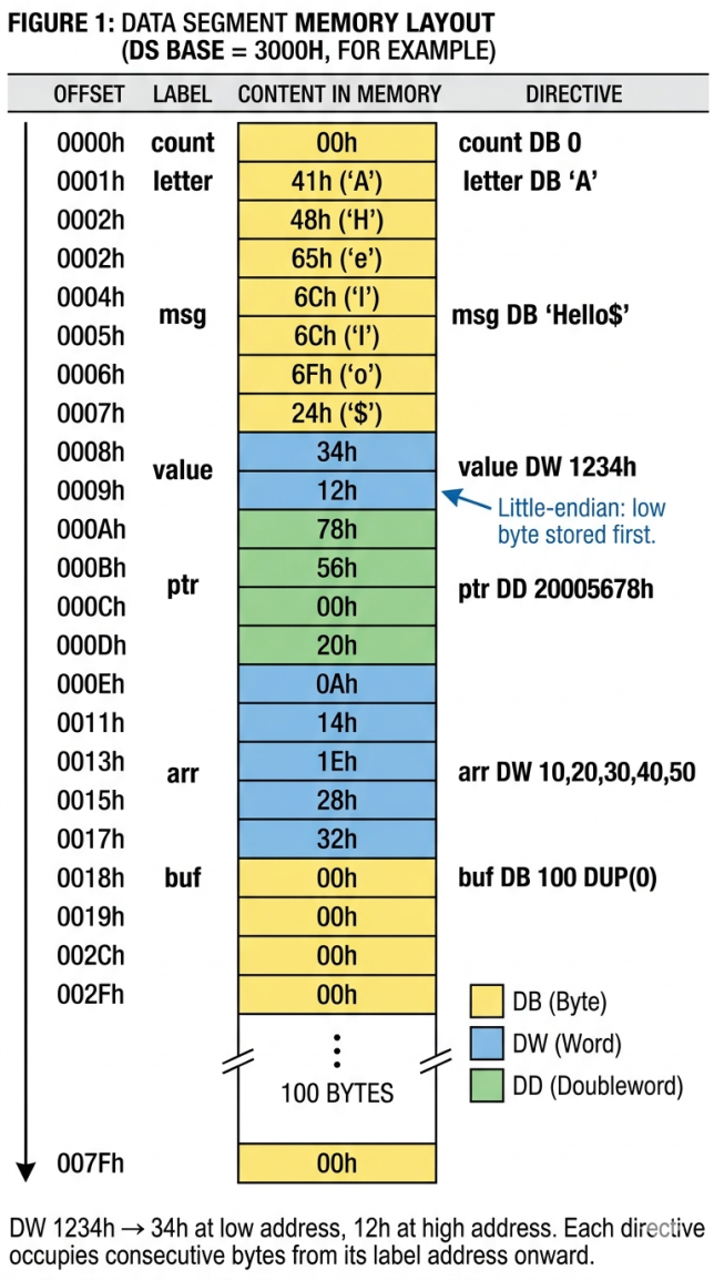 Memory layout diagram showing how DB, DW and DUP directives occupy consecutive bytes in the 8086 .data segment